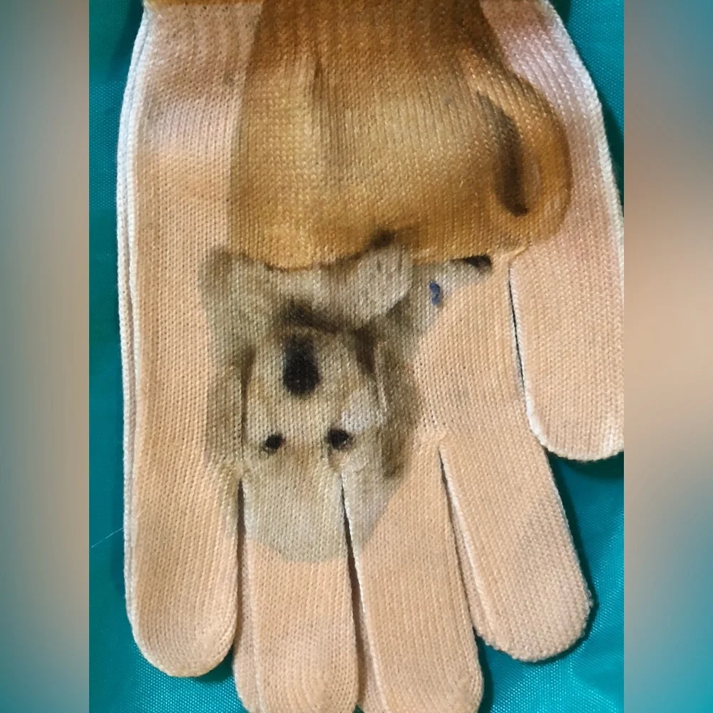 Women’s dog puppy in coffee cup printed beige‎ knit gloves one size new
